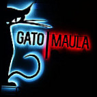 Gato Maula outside