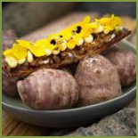 Schranzen Cibo