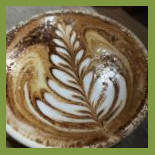 The Spring Bean Cibo