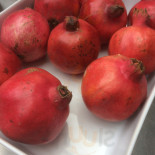 Röststätte Berlin Cibo