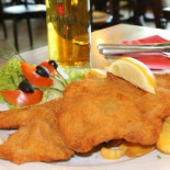 Der Blaue Fuchs Cibo