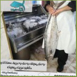 طيبات البحار Cibo