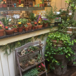 Cafe Bench Cibo