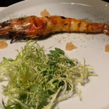 Descobertas Cibo
