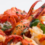 Rocpool Cibo