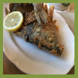 Schwarzer Bär Cibo