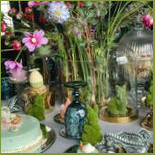 Boho Cibo