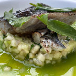 Ora Cibo