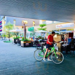 Augusta Cibo