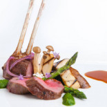 Cedar Cibo