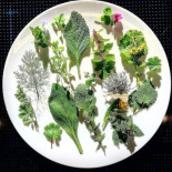 Atman A Villa Rospigliosi food
