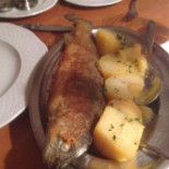 Millipp Cibo