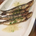 Lopi Cibo