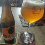 De Halve Maan Cibo