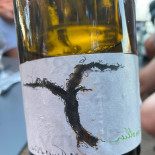 Vinotage Cibo
