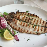 Wimmer Comida