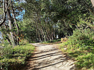 Le Café Du Port La Forêt Fouesnant food