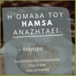 Hamsa Esterno