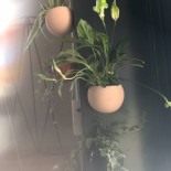 Tabosa Cibo