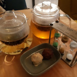 Les Exploratrices Cibo