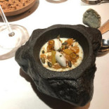 Ursus Cibo