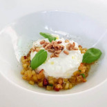 Squisitia Cibo