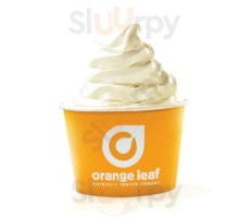 Orange Leaf Frozen Yogurt food