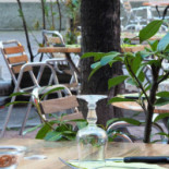 Torricelli Cibo