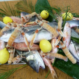 Piccolo Sogno Nourriture