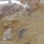 Dulce's Antojitos Cibo