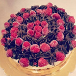 Coco Food