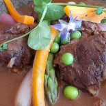 Sterenn Cibo