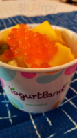 Yogurtland food