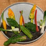 Narbasu Cibo