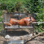 Les Grepins Cibo