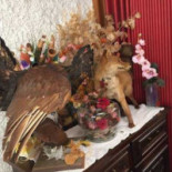 Hôtel Beauséjour Cibo