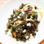 Mockingbird Cibo