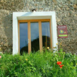 L'asphodèle Cibo