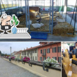 Enosteria Pedrocchi food