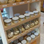 Amphora Cibo