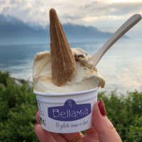 Bellamia food