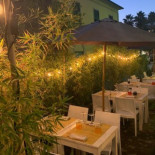 Zenzero Cibo E Perditempo Nourriture