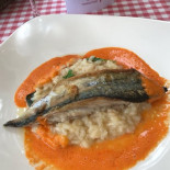 Florian Portocolom Cibo