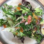 Chardon Cibo