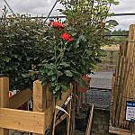 Jones Garden Centre Mrs. Jones Farm Kitchen outside