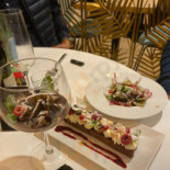 Oiseau Cibo
