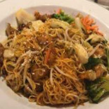 Bloom Cibo