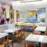 Bloom Cibo