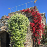 L'aradu Cibo