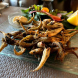 L'estran Cibo